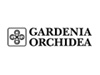 Gardenia Orchidea